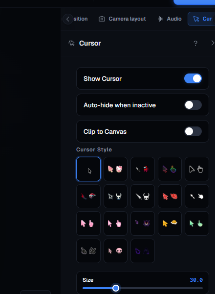 Cursor settings panel with highlight enabled